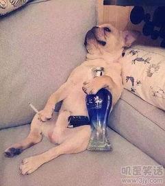 愁的搞笑图片,搞笑愁脸图片大盘点